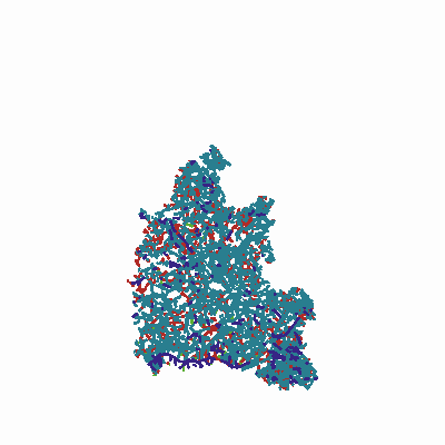 Export Image