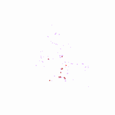 Export Image