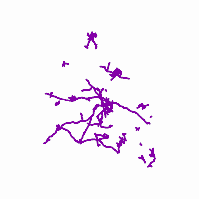 Export Image